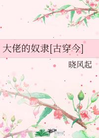 大佬的奴隶[古穿今]